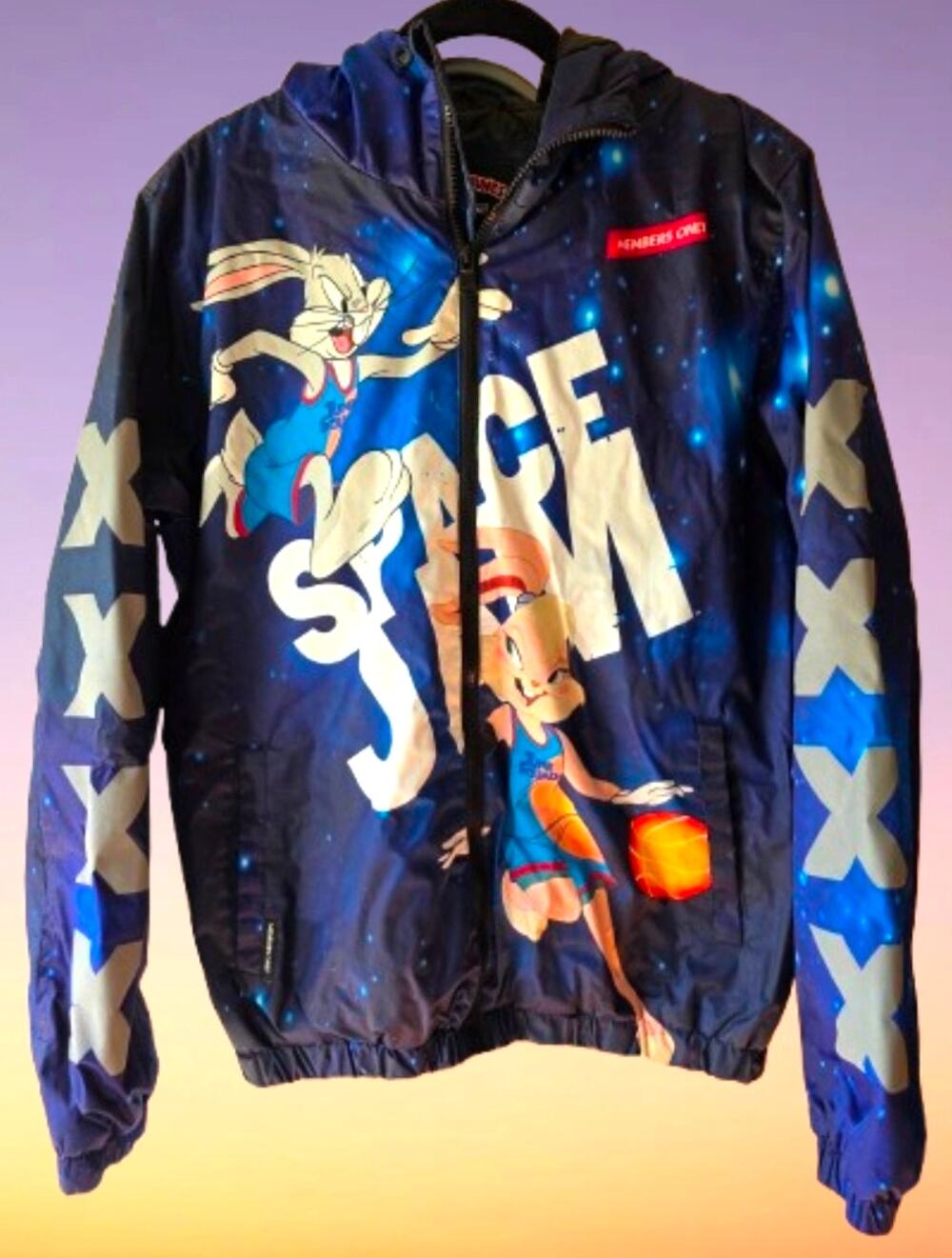 Members Only X Looney Tunes Space Jam Tune Squad Jacket M Hooded Windbreaker